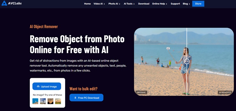 avclabs free online object remover