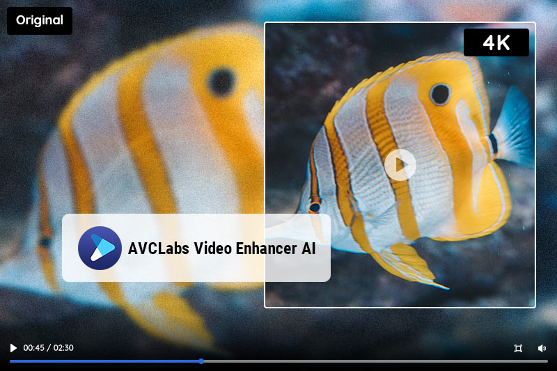 best free 4k video converter