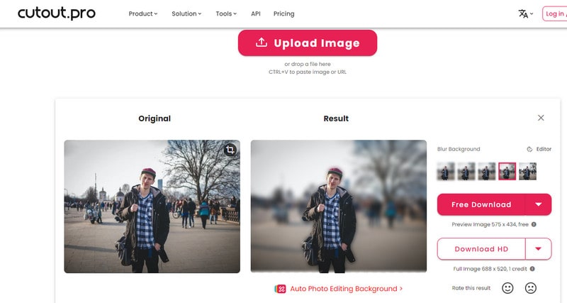 blur image online using Cutout.Pro