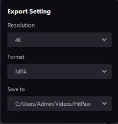 hitpaw output setting