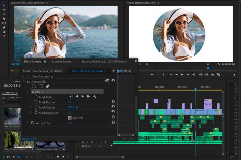 premiere pro masking